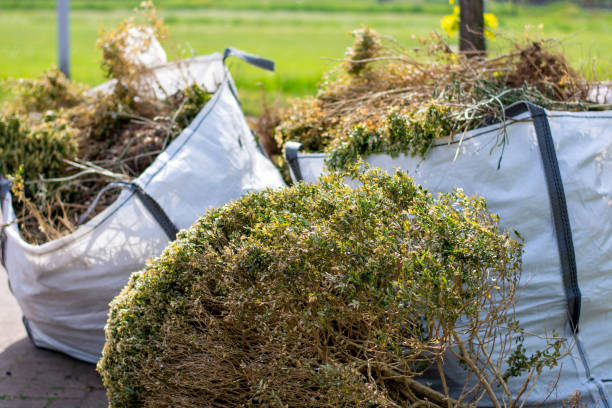 Best Hoarding Cleanup  in Emerd Mountain, AL