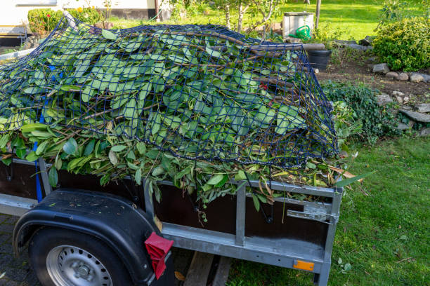Best Moving and Downsizing Cleanouts  in Emerd Mountain, AL